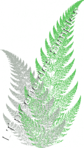 L'Epicerie des Simples